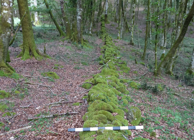 <p>Stone wall built by Romans to contain Spartacus and his men </p>